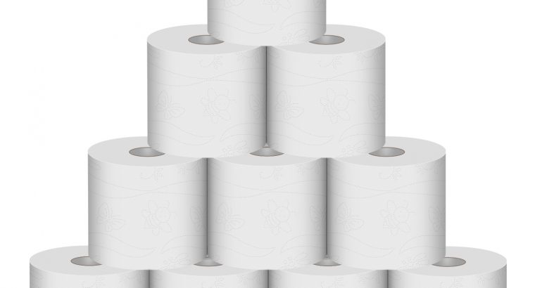 RV Toilet Paper, Rapai Dissolving & Septic Safe –
